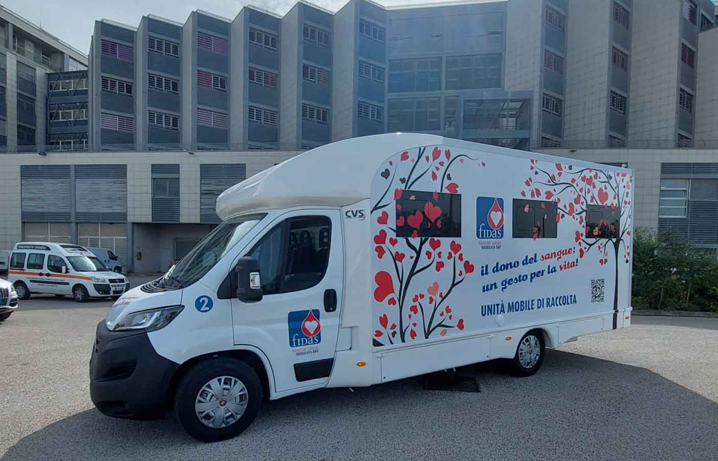 CVS-partner-ideale-Fidas-Basilicata CVS-partner-ideale-Fidas-Basilicata